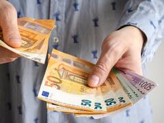 Las trufas silvestres que crecen en Córdoba y pueden valer miles de euros, ¿cómo buscarlas?