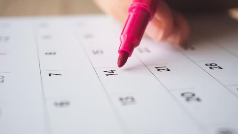 La SEP confirmó el cronograma de feriados 2024 para el ciclo escolar. Fuente: Freepik