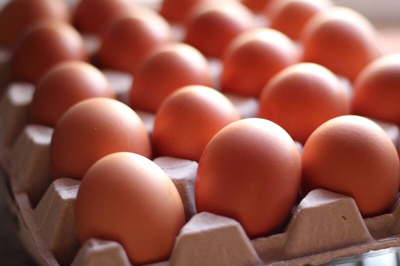 Huevos de gallina. Fuente: Archivo.