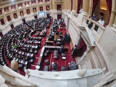 Ficha limpia: ya tiene fecha la sesión especial para tratar el proyecto