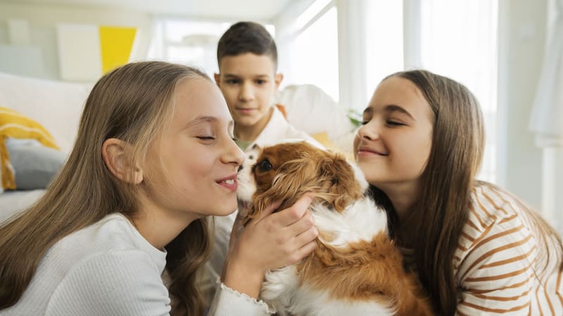 <div class="migrated-promo-image__description"><div class="migrated-promo-image__source">Fuente: Freepik</div></div>