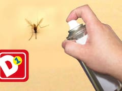 El producto para espantar mosquitos que lanzó D1 vale menos de $7.500: protege tu hogar, actúa rápidamente y tiene rico olor