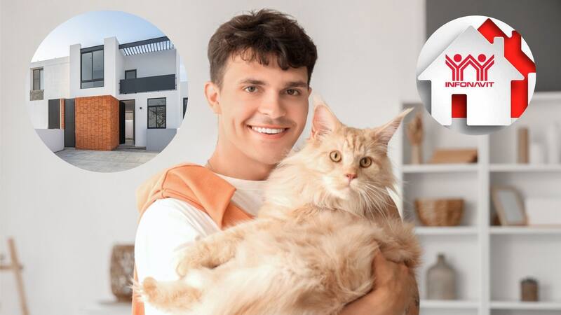 <div class="migrated-promo-image__description"><div class="migrated-promo-image__source">Fuente: Shutterstock </div></div>