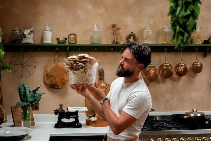 El chef e influencer Gaz Oakley dio paso a paso como cultivar el hongo ostra (Fuente: archivo).