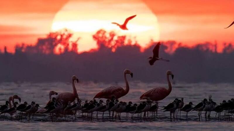La ciudad cordobesa que tiene el humedal más grande de Latinoamérica y los mejores atardeceres de la provincia