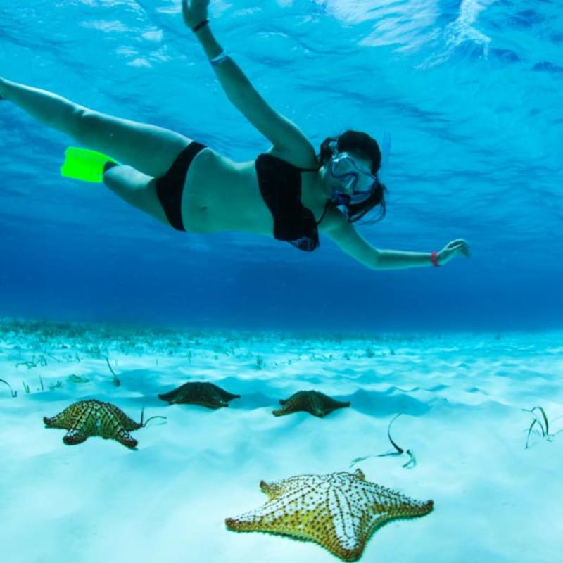 El Cielo, imperdible de Cozumel