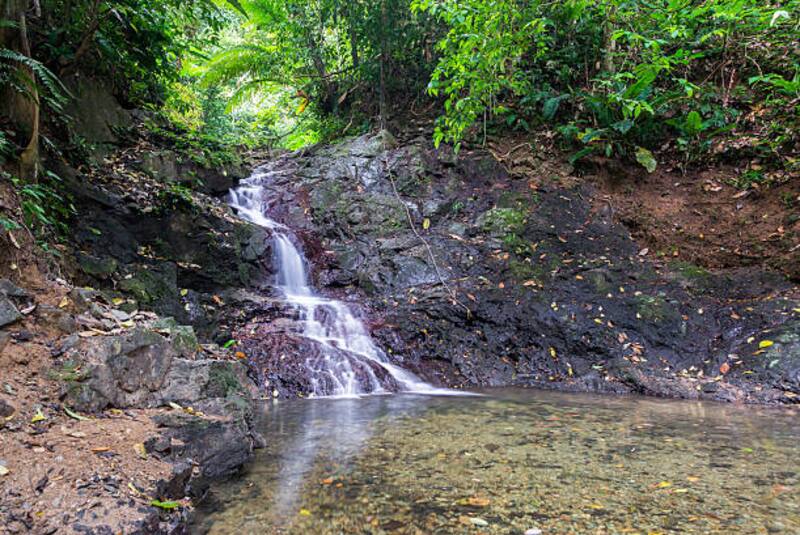 En un país tan rico en biodiversidad como Colombia, el verdadero lujo es preservar lo que aún no fue destruido (Fuente: Archivo).