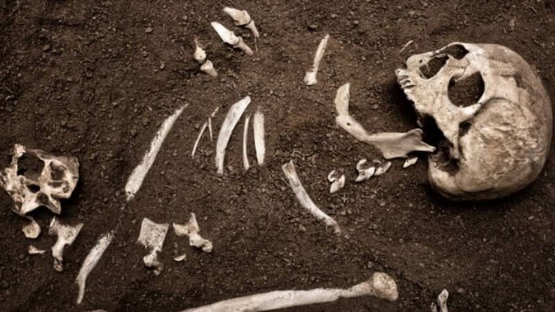 <div class="migrated-promo-image__description"><div class="migrated-promo-image__source">Fuente: Freepik</div></div>