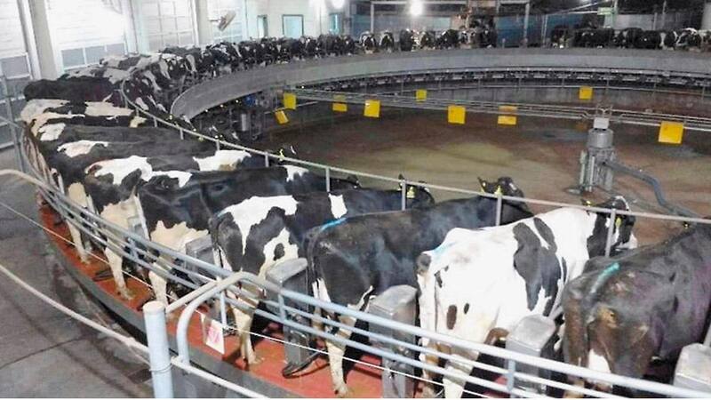 La firma ya administra cerca de 7000 vacas