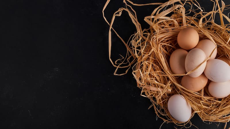 Si tienes gallinas en casa, podrías recibir una multa muy costosa por cometer esta infracción sin saberlo
