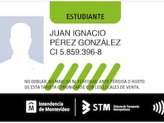 Los estudiantes con boletos gratuitos podrán recargar arriba del ómnibus