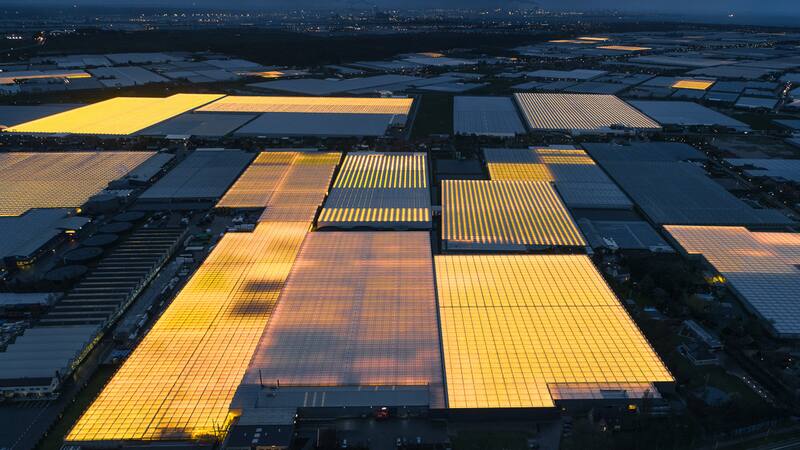 <div class="migrated-promo-image__description"><div class="migrated-promo-image__source">Fuente: Wikipedia</div></div>