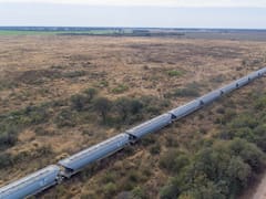 Vaca Muerta marcará el rumbo de las inversiones ferroviarias