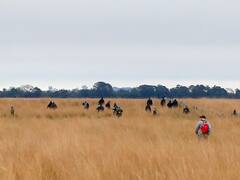 Búsqueda de Loan: el testimonio clave que le da un giro drástico al caso y todo lo que se sabe hasta ahora