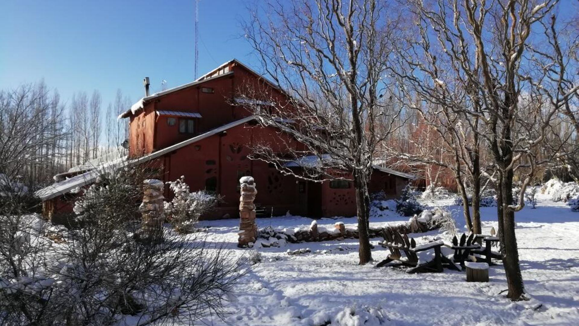 Buscan voluntarios para vivir en una finca de Mendoza: ofrecen hospedaje y comida a cambio de pocas horas de trabajo