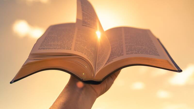 Más de 2000 años después, se verificó científicamente un relato de la Biblia.