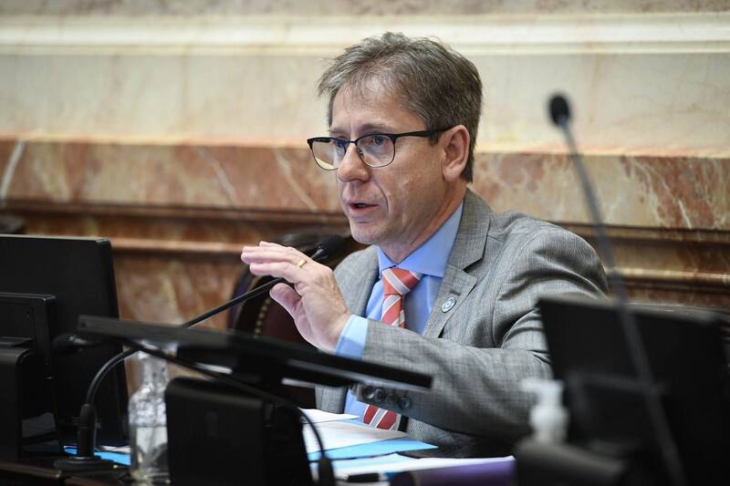 El senador nacional por Corrientes y jefe de bloque radical, Eduardo Vischi.