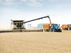 MSU adquirió tres campos en Chaco por casi u$s 10 millones