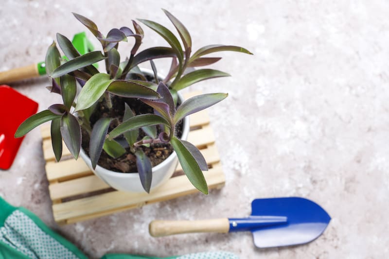 La fermentación de la mezcla durante 48 horas es crucial para que los ingredientes combinen efectivamente y maximicen sus beneficios cuando se apliquen al suelo. (Foto: Freepik)