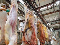 Mejora la producción de carne vacuna: creció la faena 20% en octubre