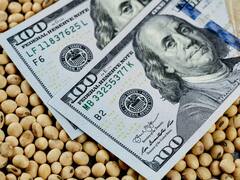 El Gobierno prorrogó el dólar soja 4: ¿Hasta cuándo será?