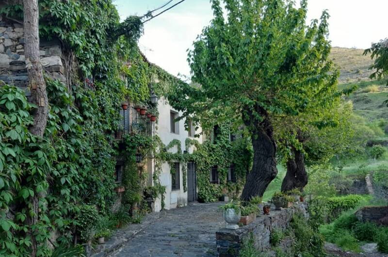 Escapadas: la naturaleza está presente en cada rincón de Patones de Arriba.