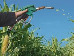 El Gobierno demandó a la Unión Europea por medidas contra el biodiesel local