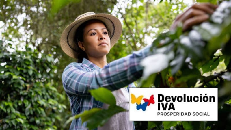 Devolución del IVA en Colombia.