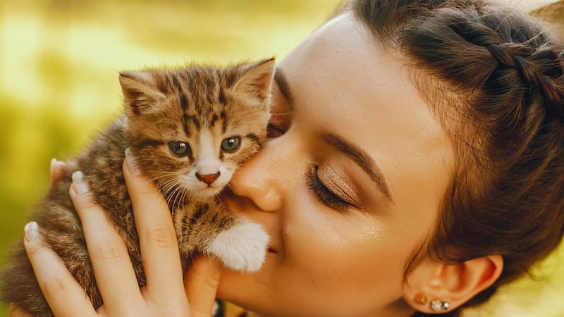 Fieles compañeros y astutos por naturaleza, los gatos han ocupado un lugar muy importante en la historia.