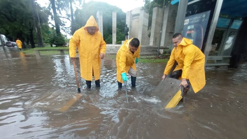 Lo que la tormenta dejó: hasta un mes de espera para arreglar techos y más de $ 100.000 por acarrear un auto