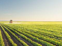 Natural resources: thirsty for investment