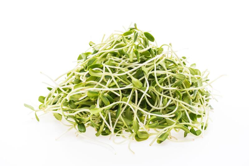 Los brotes de soja son perfectos para rehogar, añadir a ensaladas o saltear junto con otros ingredientes. (Foto: Freepik)