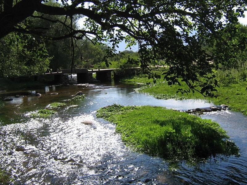 Río de los Sauces ofrece ofrece múltiples opciones para disfrutar y explorar. (Wikimedia Commons - Starbock 1948)
