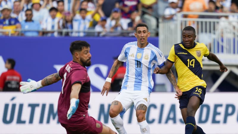 <div class="migrated-promo-image__description"><div class="migrated-promo-image__source">Fuente: Twitter @argentina</div></div>