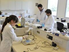 Conicet reduce en un 60% su ingreso por recortes de presupueto