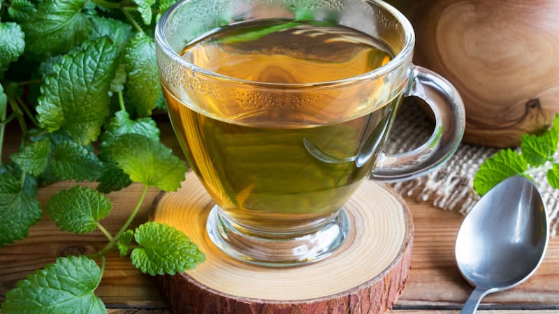 El té que "lo cura todo": es multivitamínico, antioxidante y fortalece la memoria.