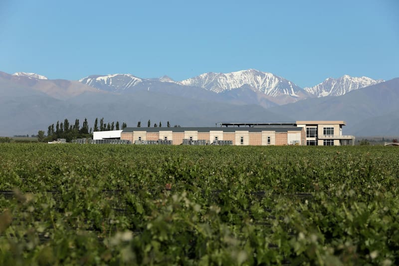 Domaine Bousquet es una bodega pionera en Gualtallary