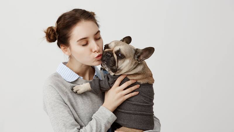 Este ser vivo transmite más virus que cualquier otro