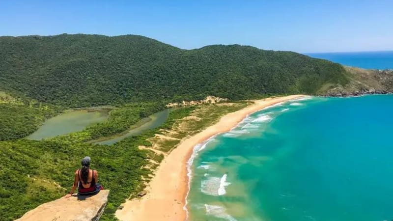 <div class="migrated-promo-image__description"><div class="migrated-promo-image__source">Fuente: Pixabay</div></div>