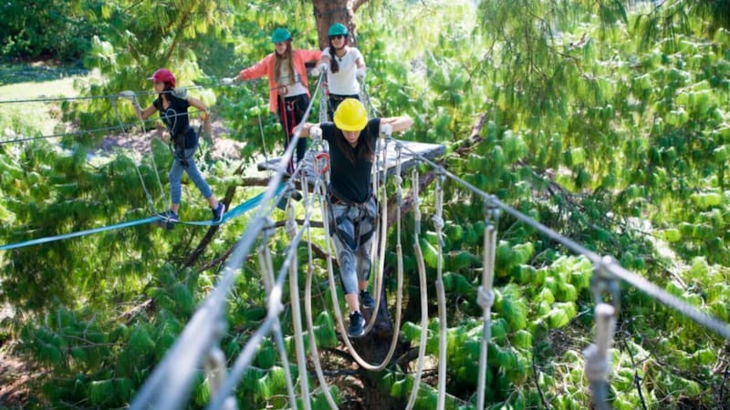 En Ixtlán de Juárez también se puede hacer tirolesa. Foto: Archivo Cronista México.