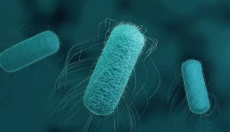 Nuevo Tratamiento Revolucionario Contra Enfermedades Resistentes a Antibióticos.