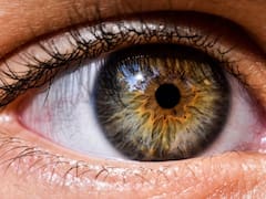 Investigación científica revela porque las personas tienen distinto color de ojos