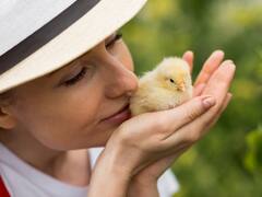 Cuál es tu ave y qué rasgos de tu personalidad revela, según tu fecha de nacimiento