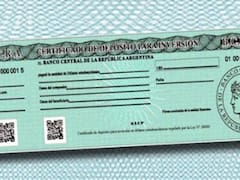 Prorrogan por cuarta vez el blanqueo de dólares con CEDIN y BAADE