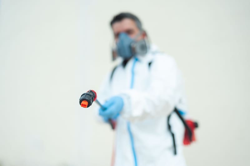 La plaga de chinches que preocupa a todos ha llegado al país: ¿en qué zonas está y cómo prevenirla? (Imagen: Shutterstock)