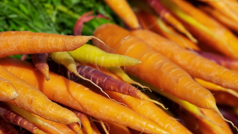 <div class="migrated-promo-image__description"><div class="migrated-promo-image__source">Fuente: pixabay</div></div>