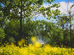Reabren un parque clave del Conurbano, donde podés pasar un fin de semana en familia y es totalmente gratis