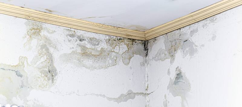 Se pueden usar diversos productos químicos para limpiar las paredes. Fuente: Archivo