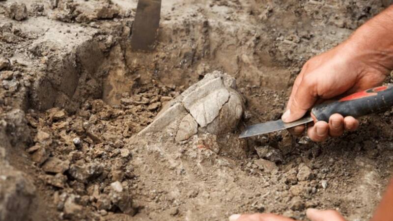 Creadores de contenido profanan tumbas para subir videos a redes sociales.