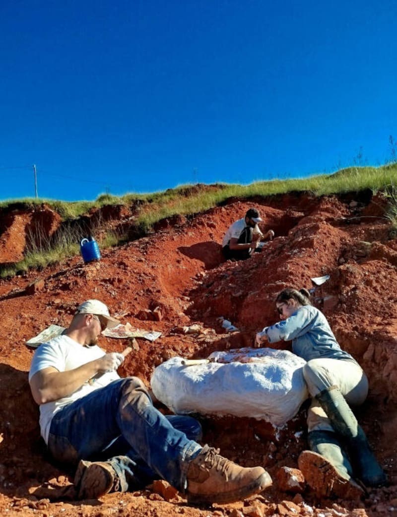 Paleontólogos trabajando en un sitio de excavación donde se descubrió el fósil de dinosaurio. (Universidad Federal de Santa María)
